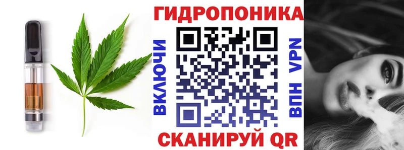 Canna-Cookies конопля кракен маркетплейс Королёв