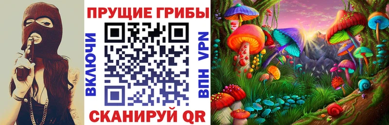 mega зеркало Королёв Псилоцибиновые грибы MAGIC MUSHROOMS